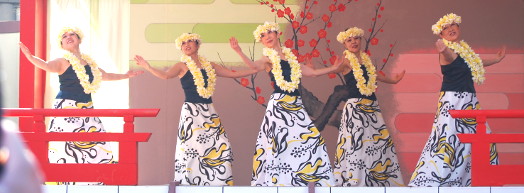 ワイアーヌエヌエフラスタジオ 梅まつり